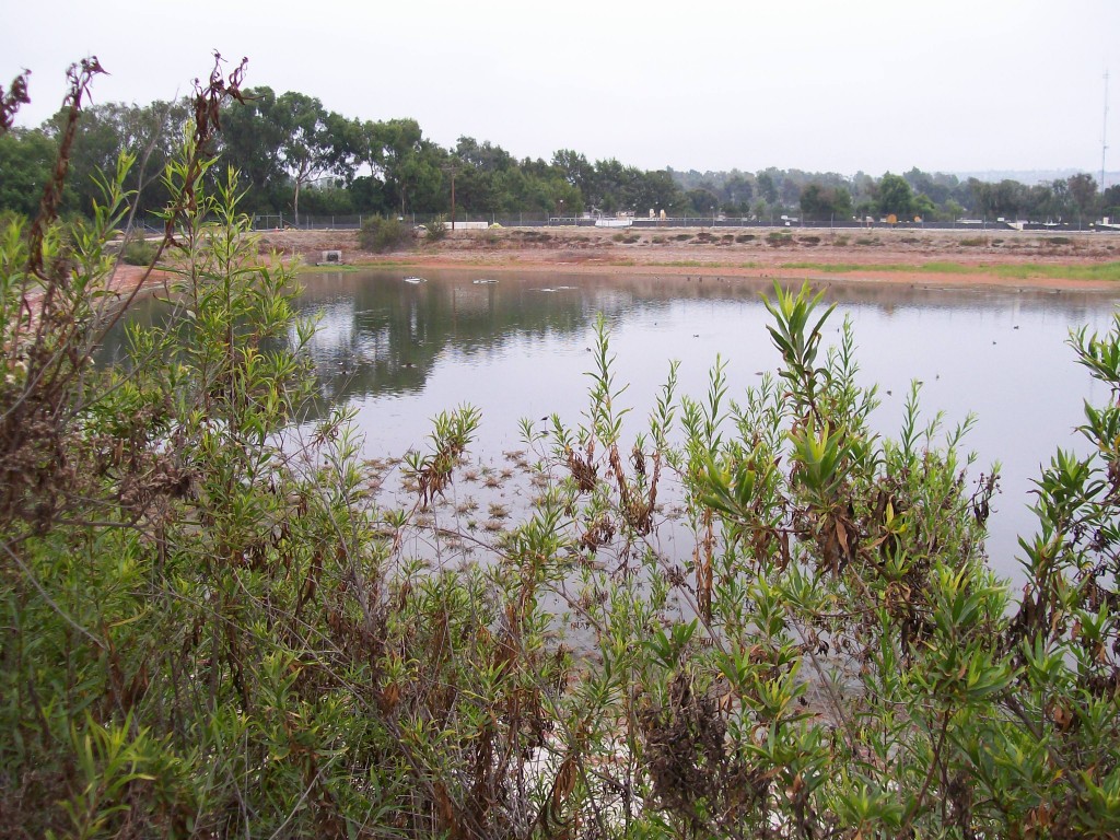 pond at San Joaquin Wildlife Sanctuary