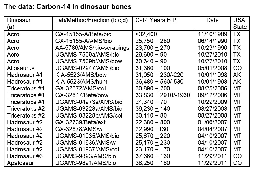 Dinosaurier Radiokarbon-Dating