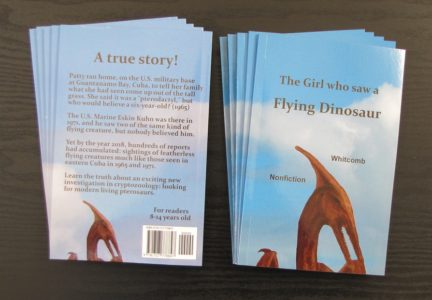"The Girl who saw a Flying Dinosaur"