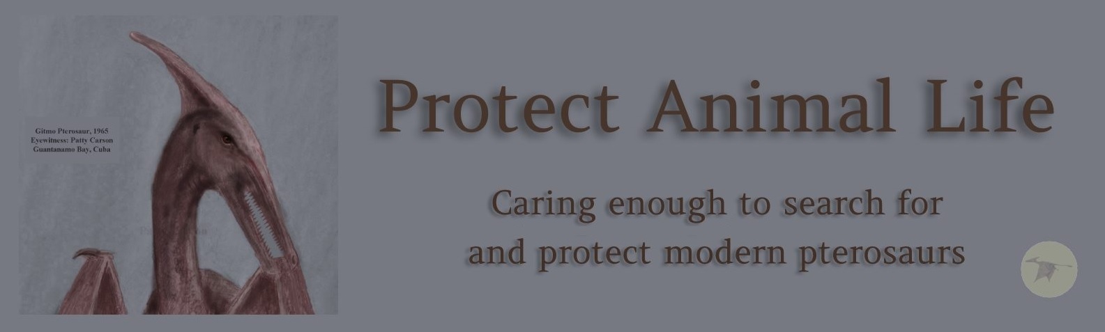 Protect Animal Life banner for this Youtube channel